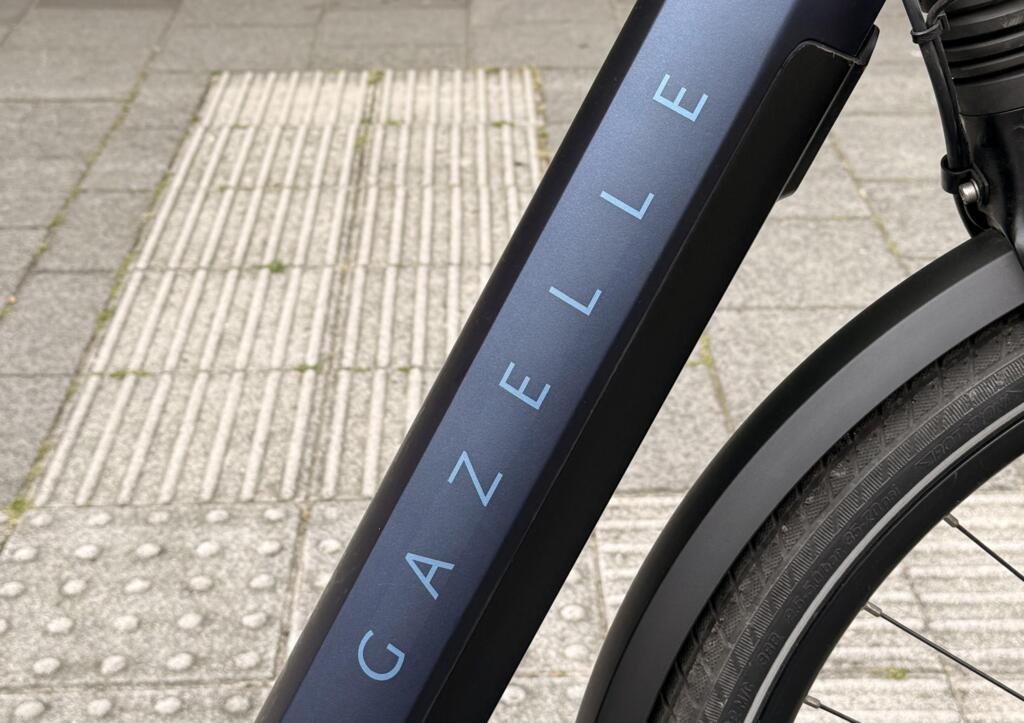 Gazelle Chamonix C5 image 2