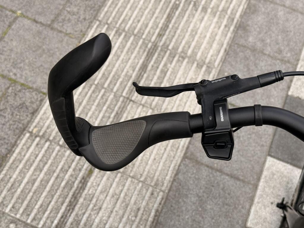 Gazelle Chamonix C5 image 5