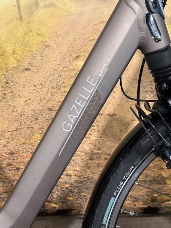 Gazelle Grenoble C7 image 2