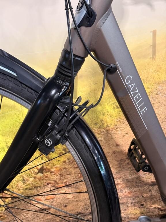 Gazelle Grenoble C7 image 8
