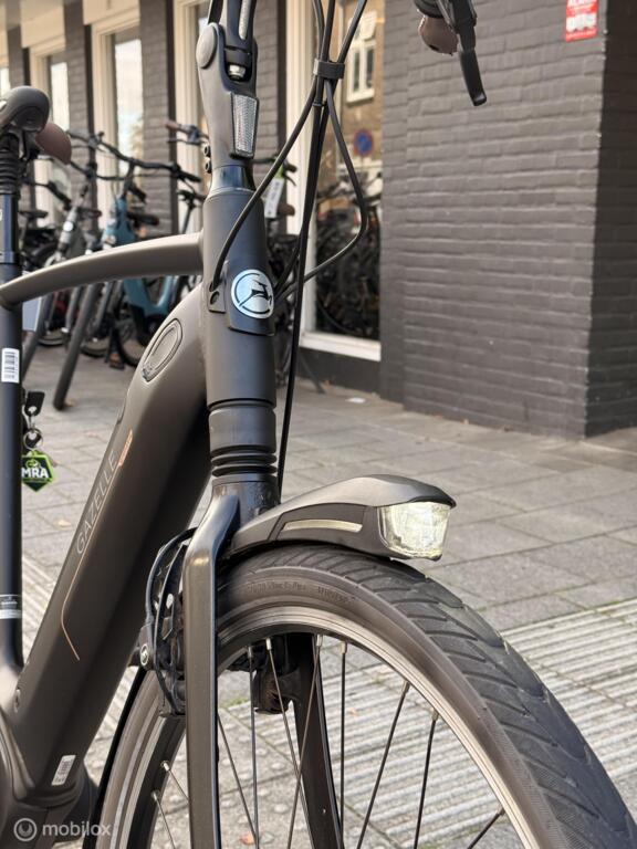 Gazelle Grenoble C8 image 9
