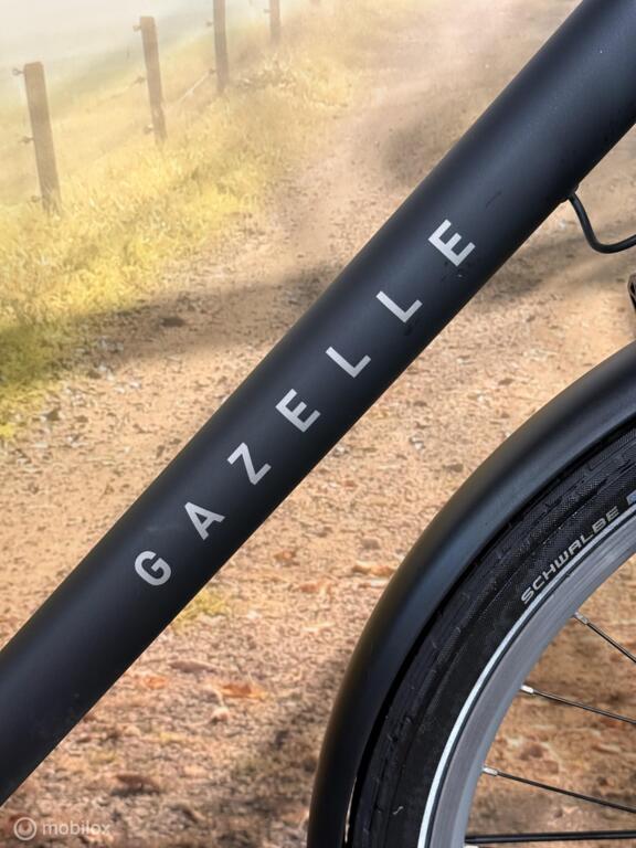 Gazelle Heavy Duty image 4