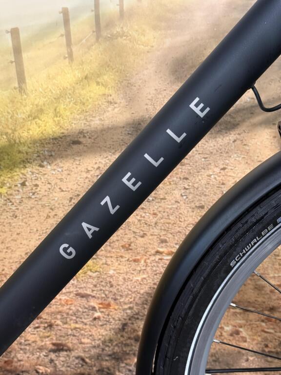 Gazelle Heavy Duty image 4
