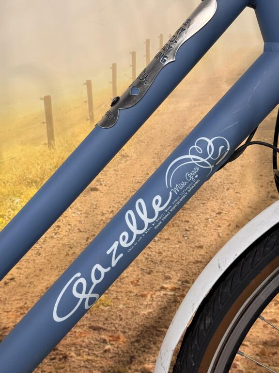 Gazelle Miss Grace image 3