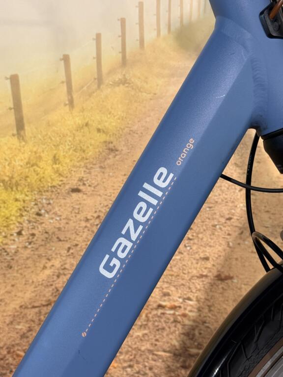 Gazelle Orange image 3