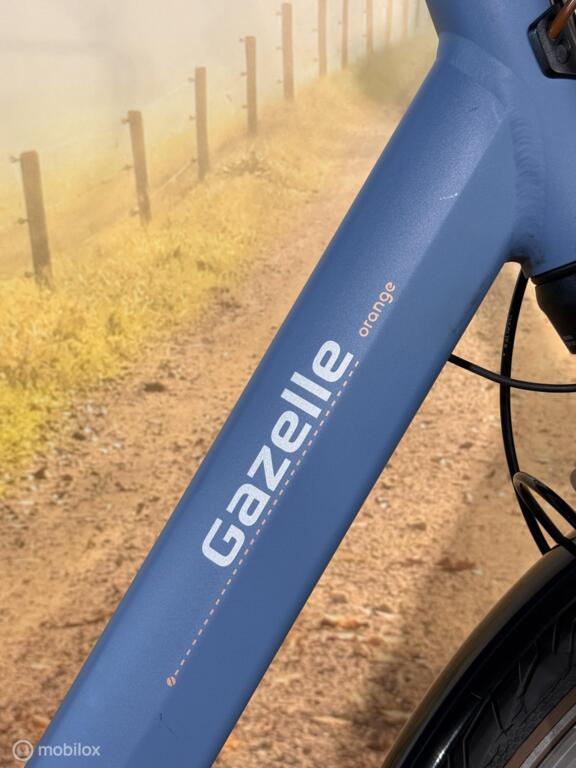 Gazelle Orange image 3