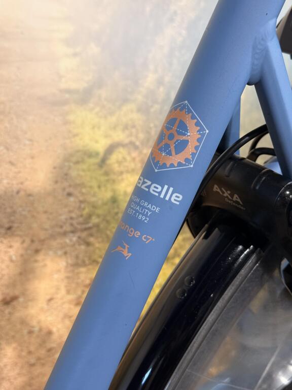 Gazelle Orange image 4
