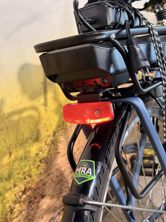 Gazelle Orange image 9