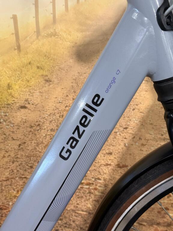 Gazelle Orange C7 image 3