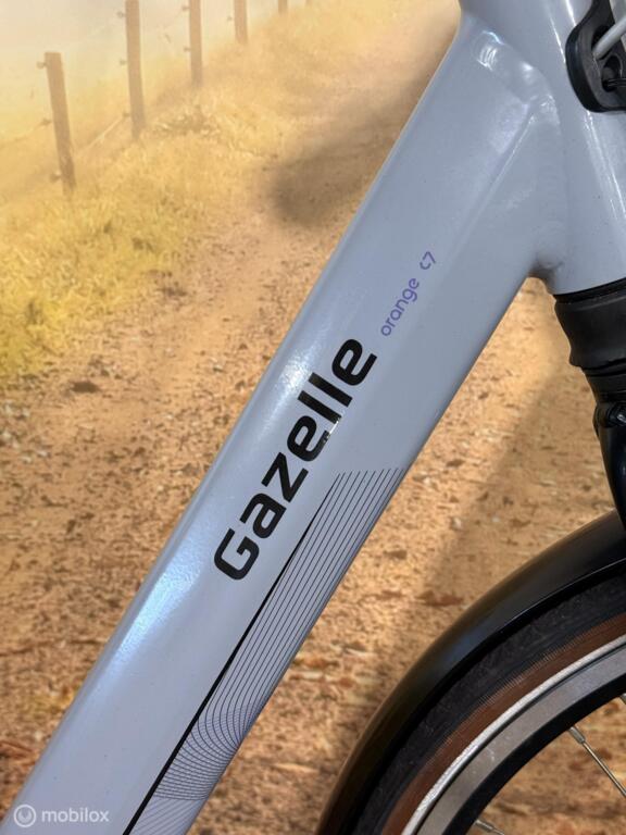 Gazelle Orange C7 image 4