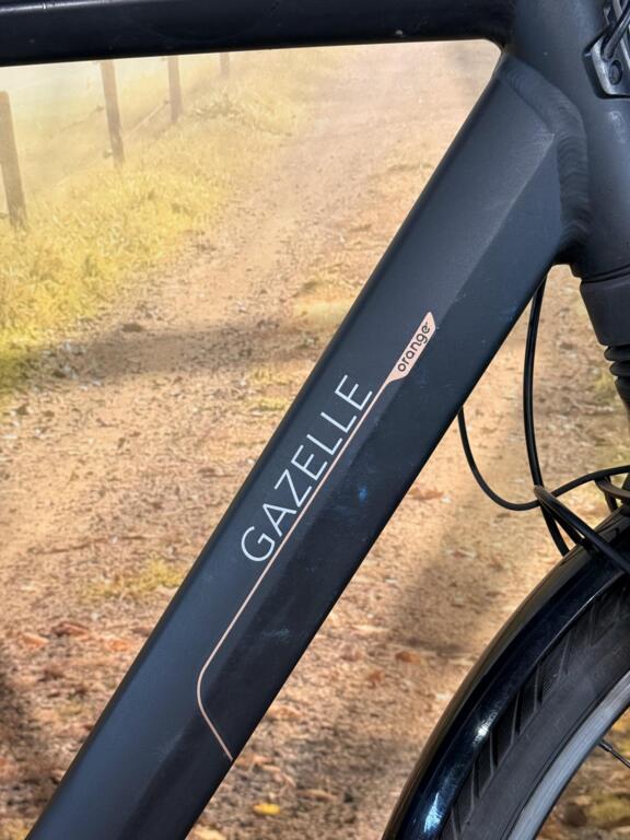 Gazelle Orange C8 image 2