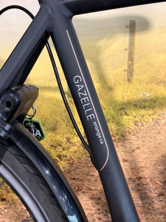 Gazelle Orange C8 image 4