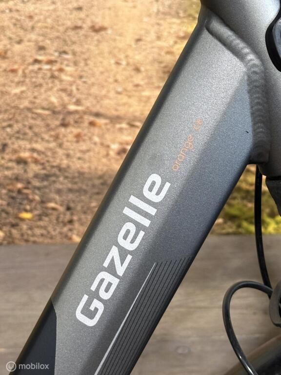 Gazelle Orange C8 image 4