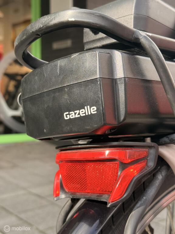 Gazelle Orange C8 image 9