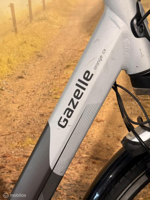 Gazelle Orange CX image 4
