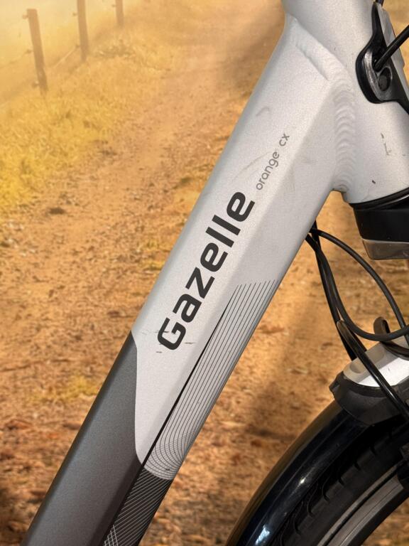 Gazelle Orange CX image 4