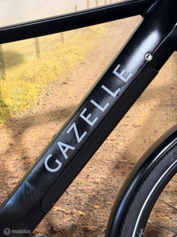 Gazelle T10 image 5