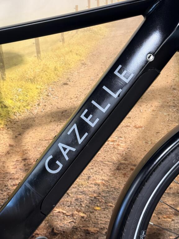 Gazelle T10 image 5