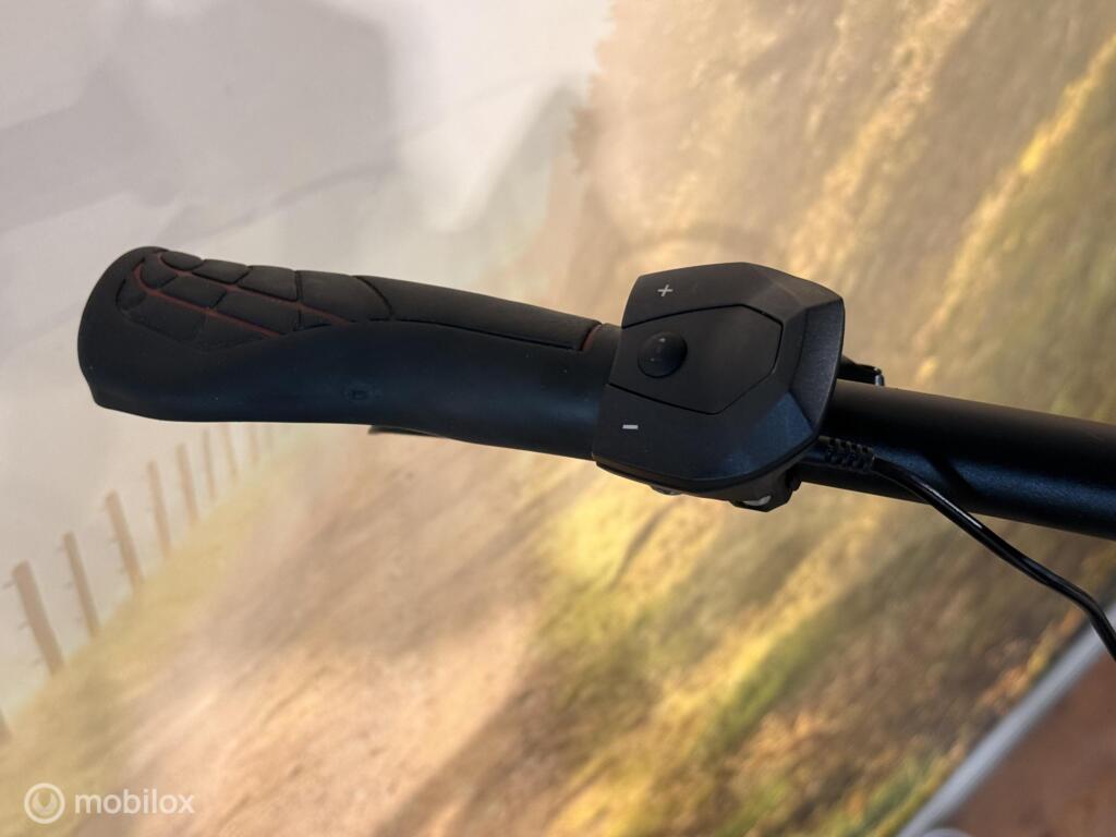 Gazelle T10 image 6