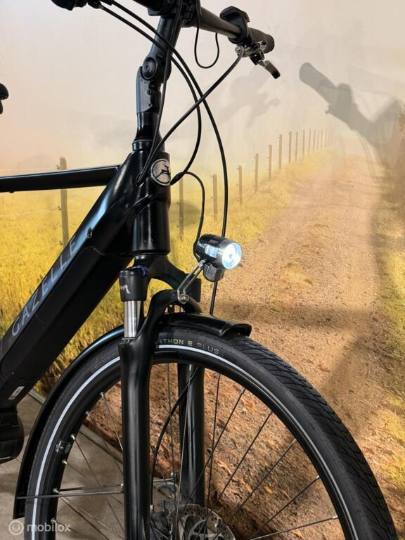 Gazelle T10 image 9
