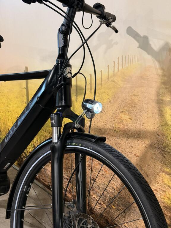 Gazelle T10 image 9