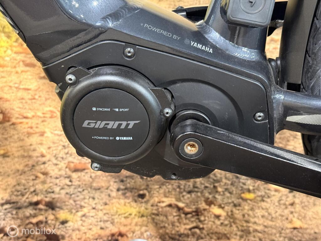 Giant image 11