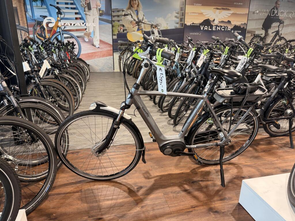 Koga image 19