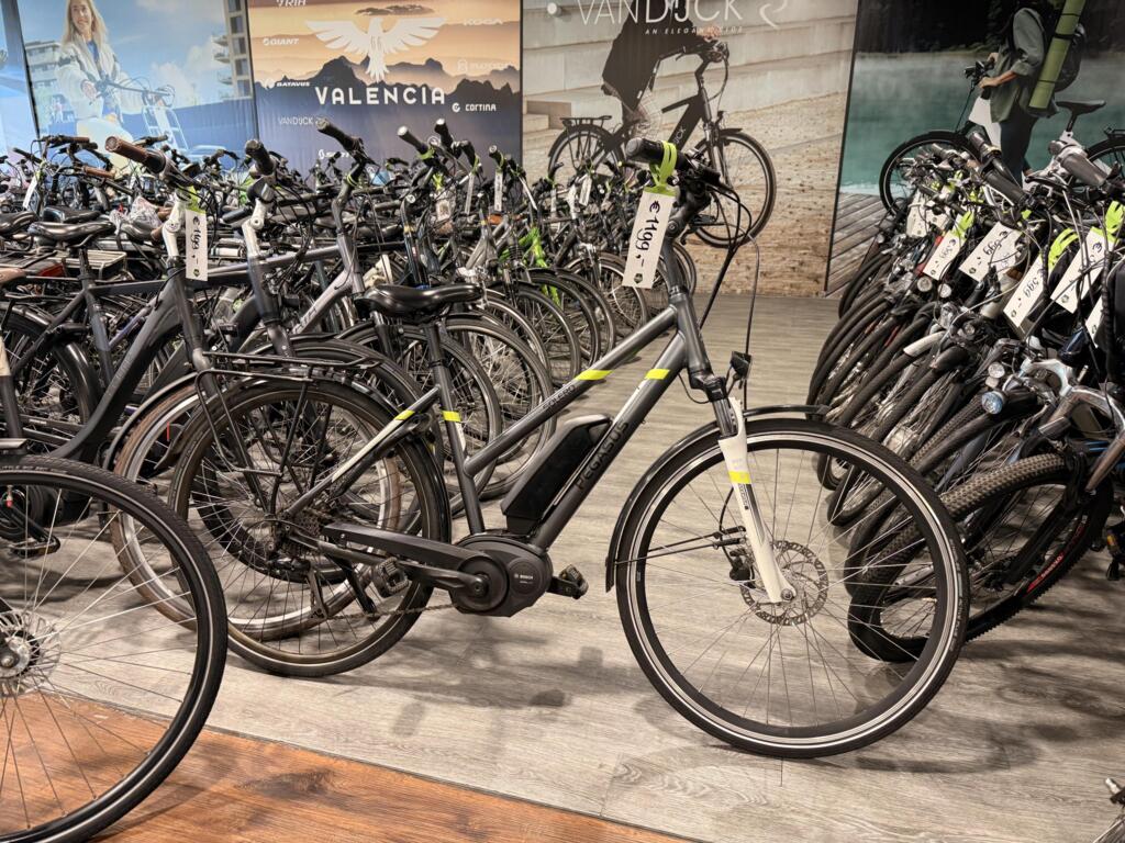 Koga image 21