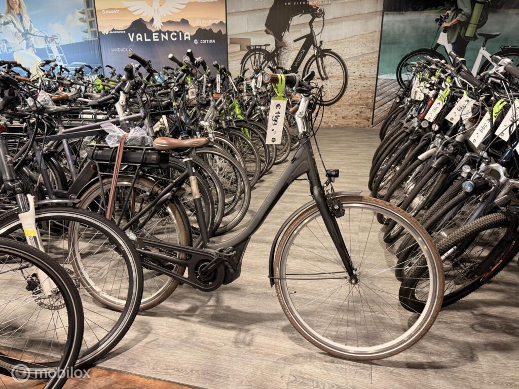 Koga image 24