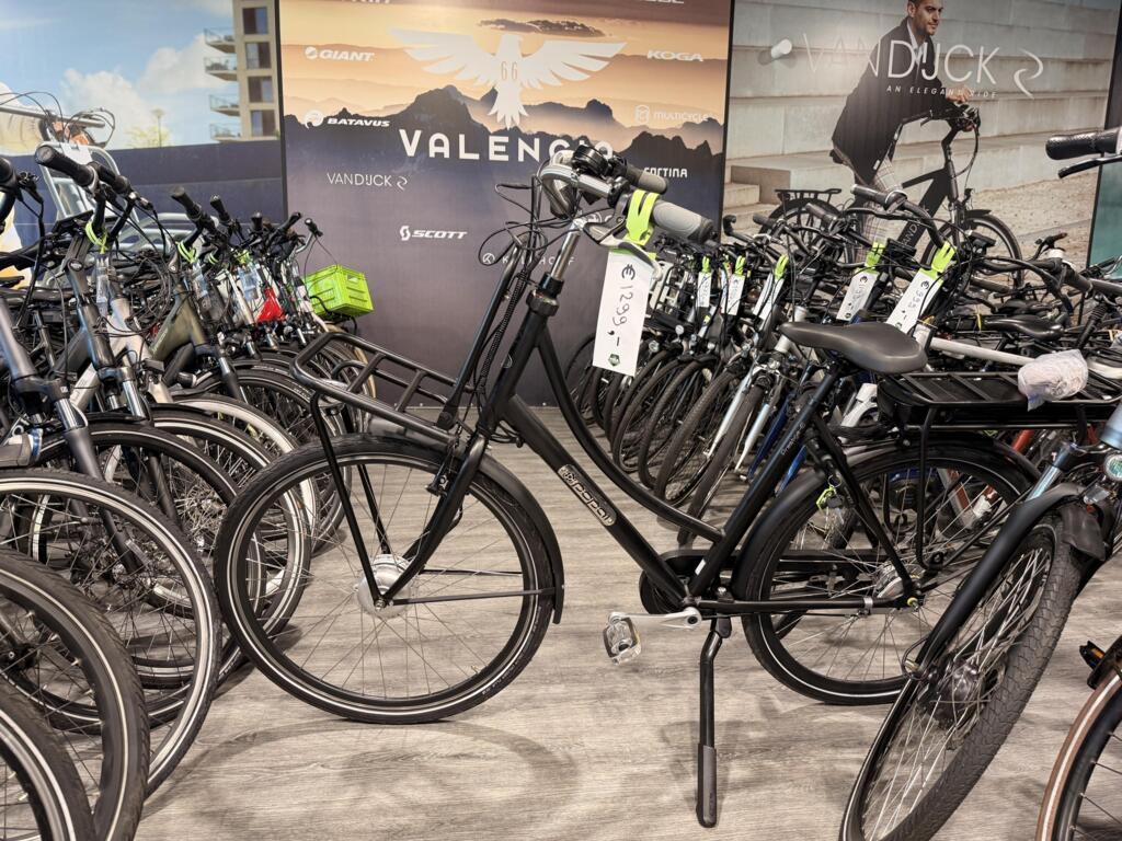 Koga image 28