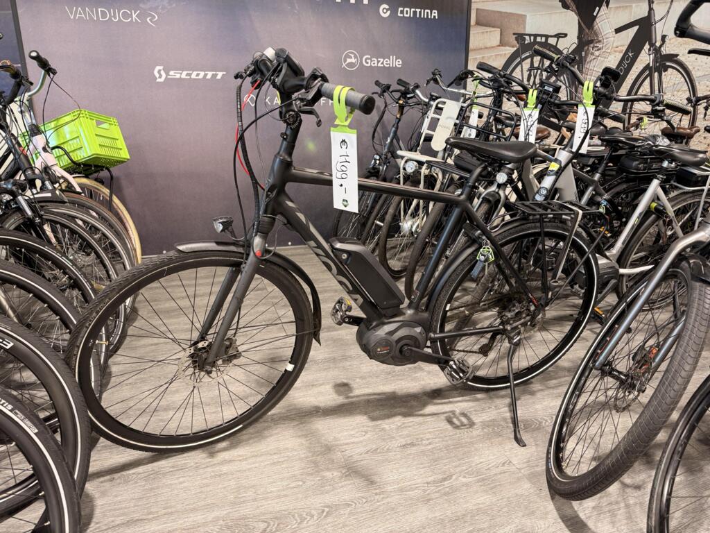 Koga image 29