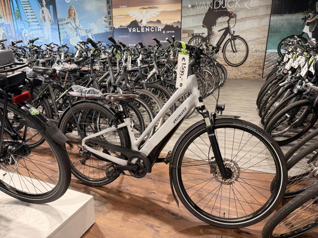 Koga image 34