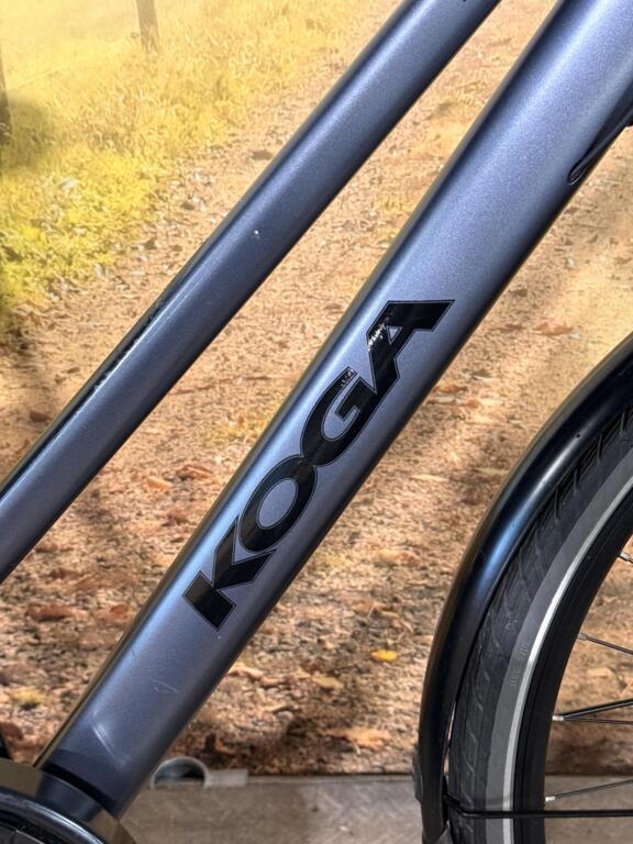 Koga image 4