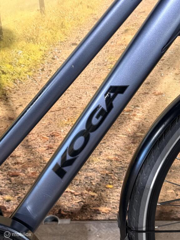 Koga image 4