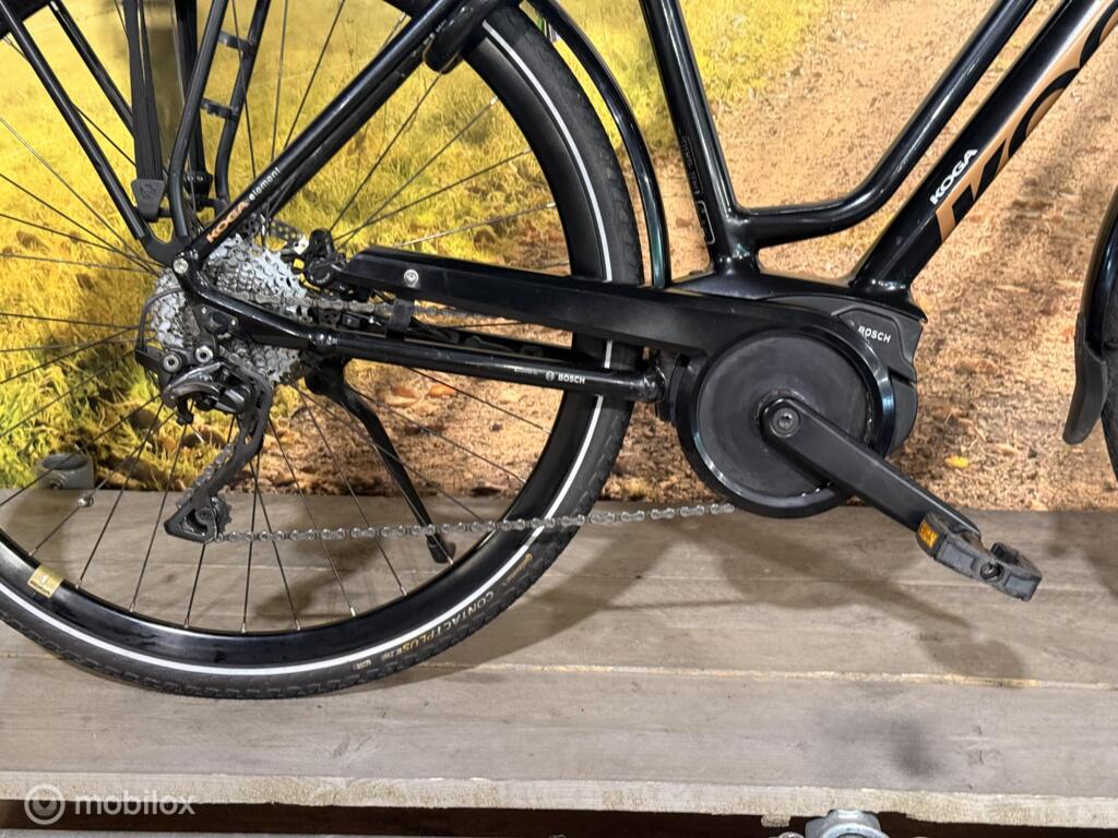 Koga Element image 10