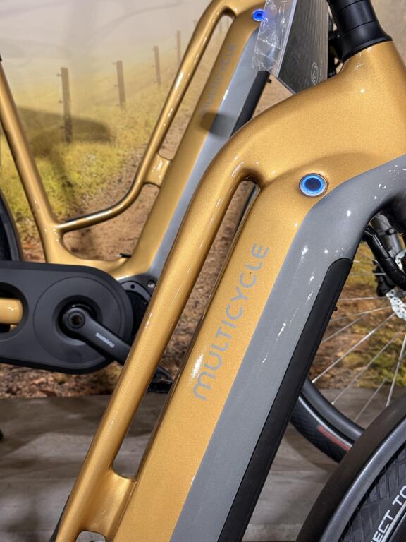 Multicycle image 12