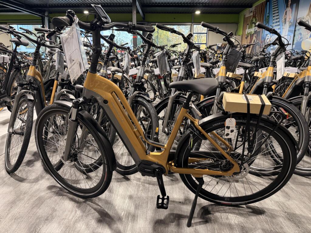 Multicycle image 1