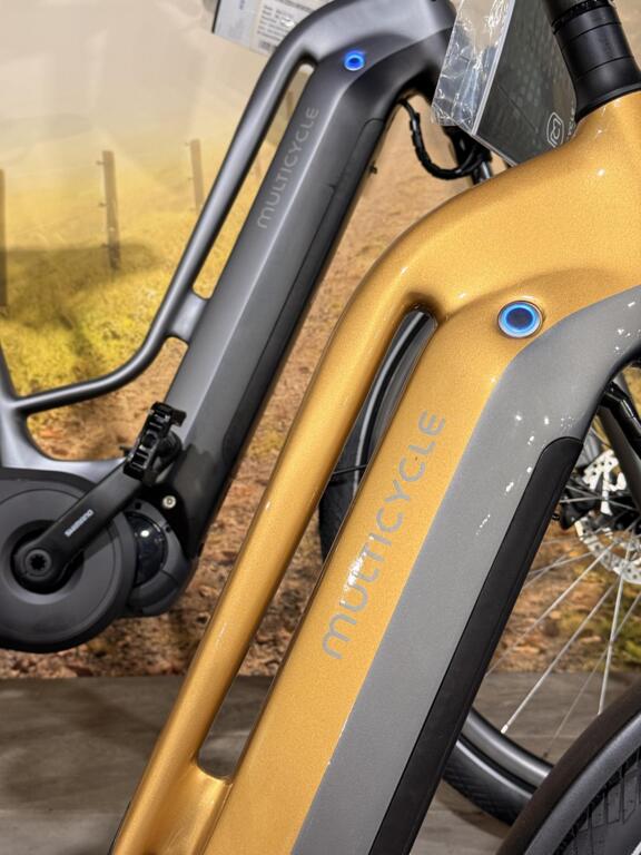Multicycle image 3