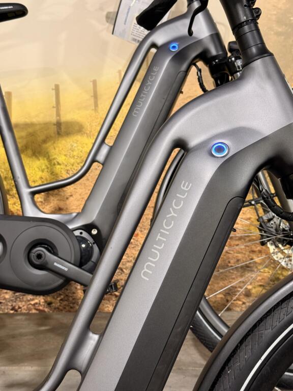 Multicycle image 5