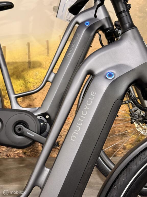 Multicycle image 6