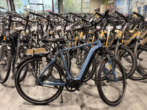 Muticycle image 1