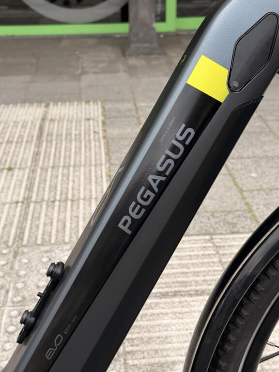 Pegasus EVO CX image 2