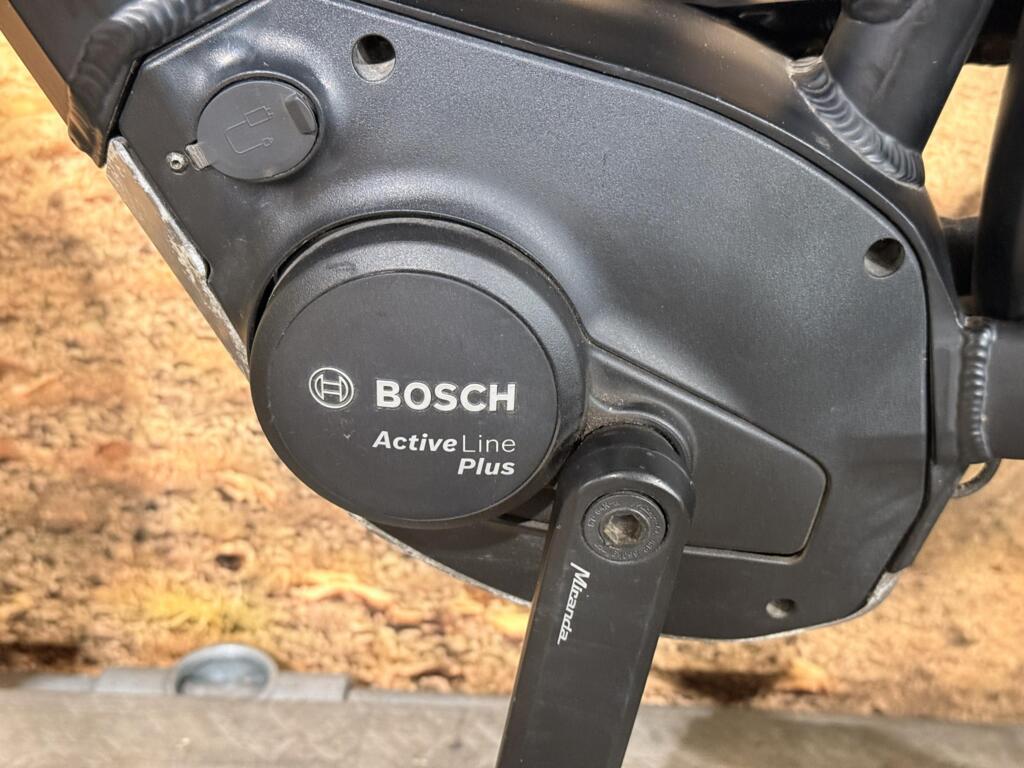 Pegasus Premio image 11