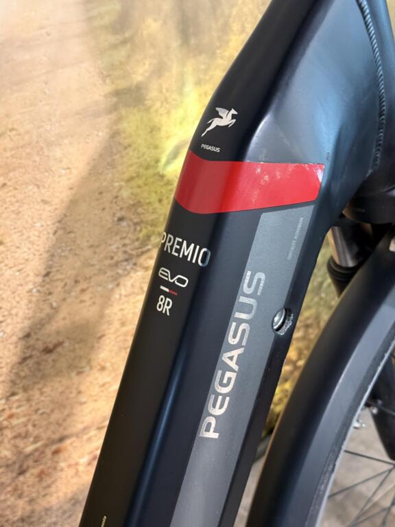 Pegasus Premio image 4