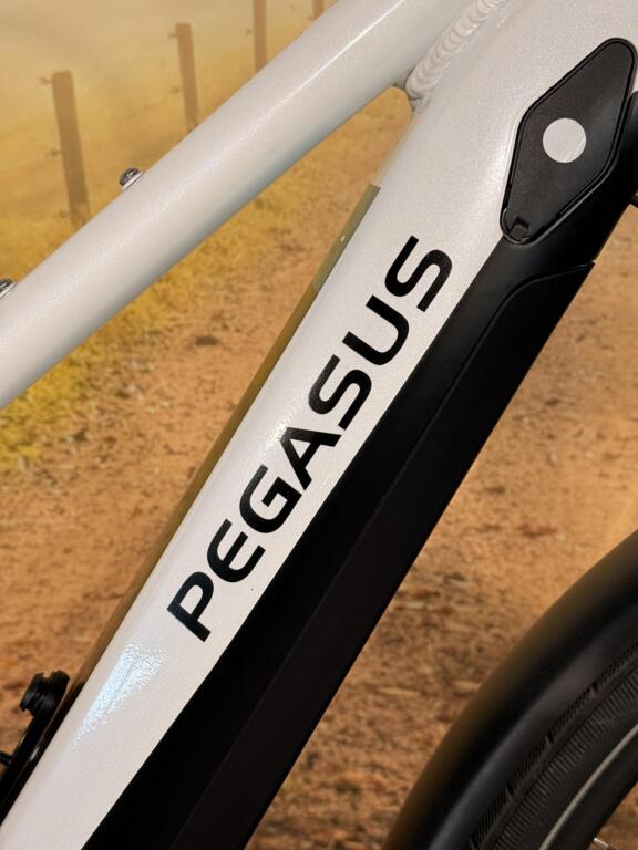 Pegasus Premio image 4