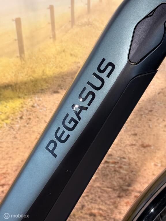 Pegasus Ravenna 8F image 4