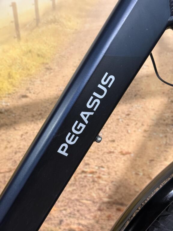 Pegasus SIENA E7F image 4