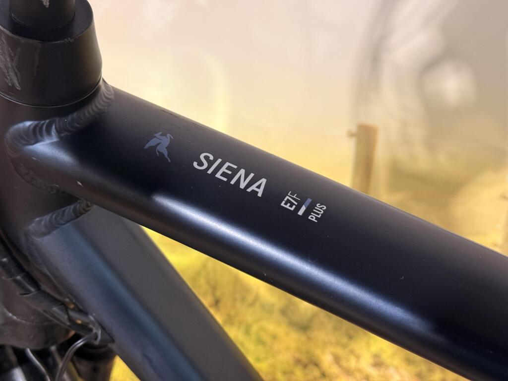 Pegasus SIENA E7F image 5