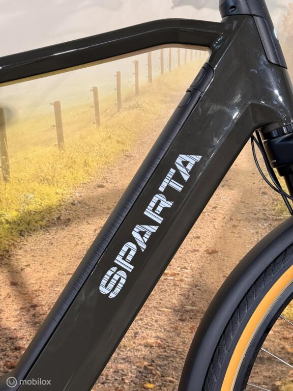 Sparta D-Rule Energy image 4