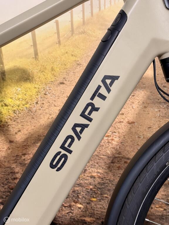 Sparta D-Rule Fit image 14